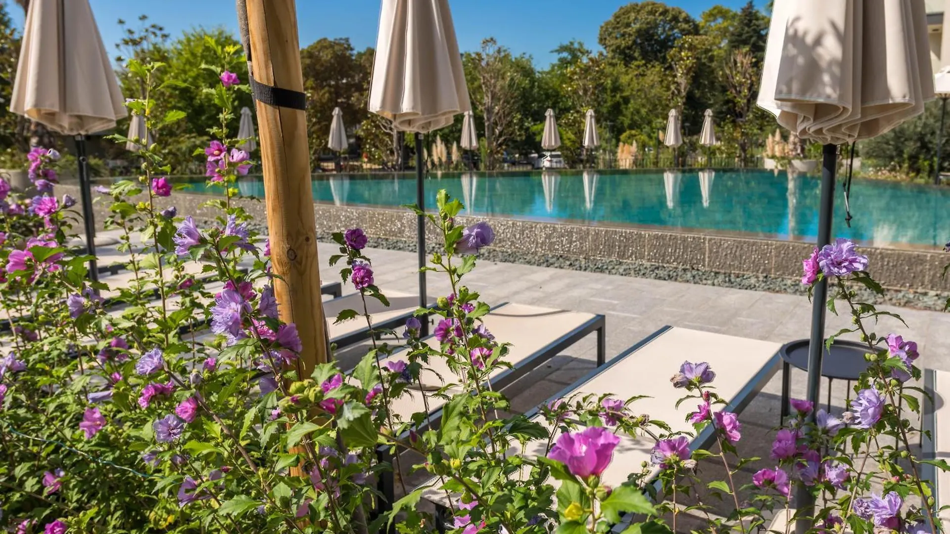 Pool View Apartment Azur Deluxe Resort & Spa Varna